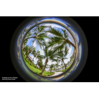 Lensbaby Circular Fisheye