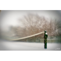 Lensbaby Plastic Optik